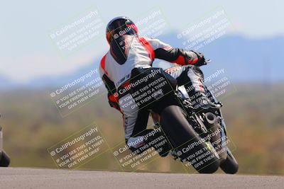 media/Oct-09-2022-SoCal Trackdays (Sun) [[95640aeeb6]]/Turn 9 Backside (120pm)/